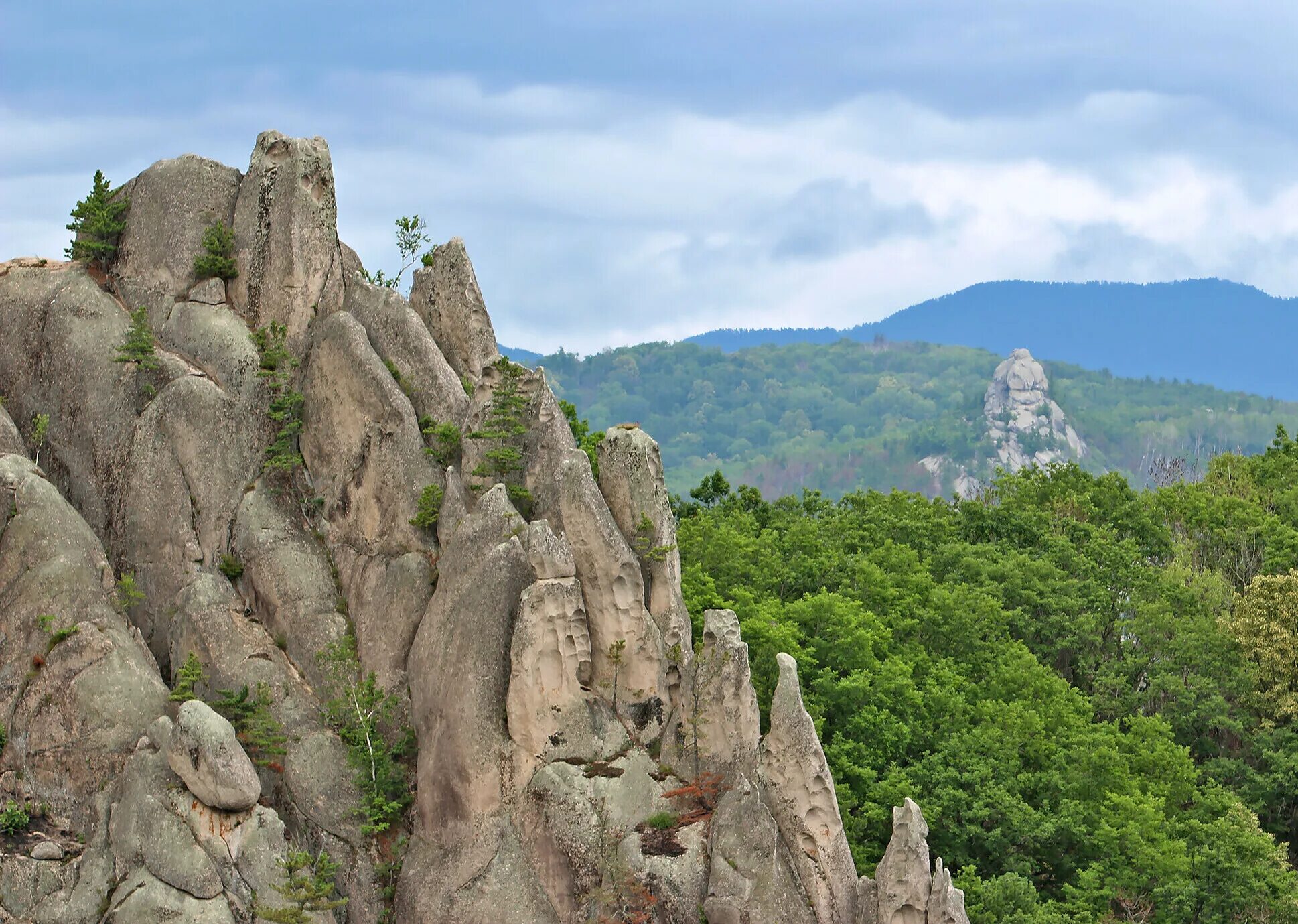 Парк драконов приморский край фото Парк Драконов в Приморском крае - как добраться, где находится, фото, отзывы, ма