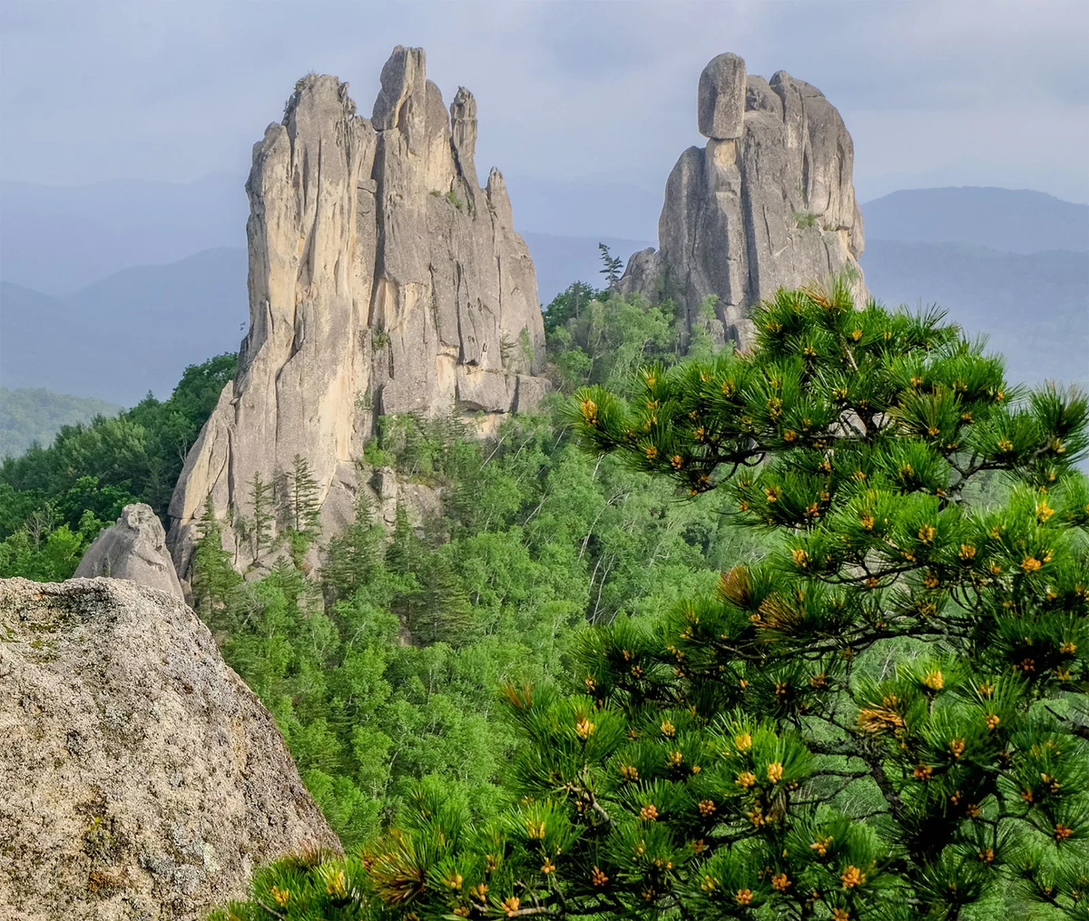 Парк драконов приморский край фото Парк драконов приморский край - блог Санатории Кавказа