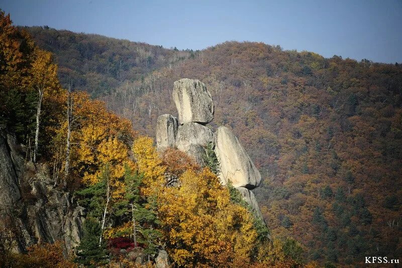 Парк драконов приморский край фото Парк Драконов KFSS