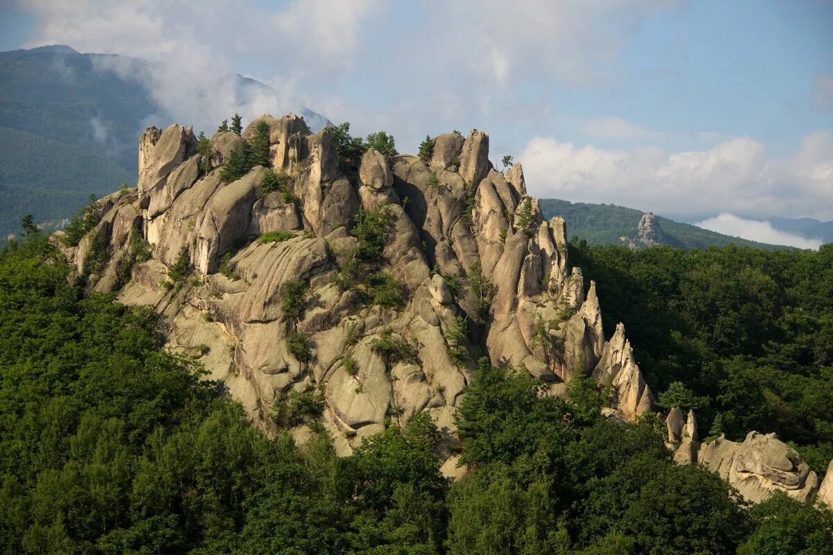 Парк драконов приморский край фото "Парк Драконов" п. Чистоводное - Восток Интур
