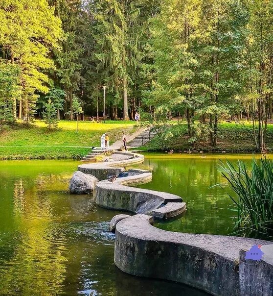 Парк дрозды в минске фото Дрозды минск