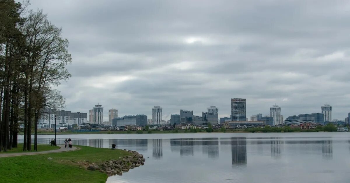Парк дрозды в минске фото Дрозды 9 мая 2019г. Пикабу