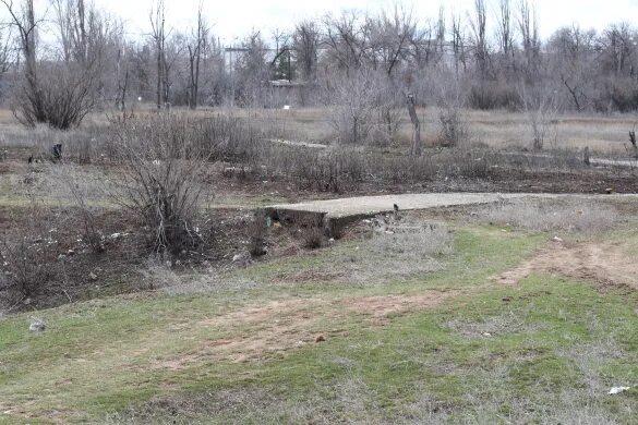 Парк дружба волгоград парк дружба фото Конец "Дружбе"? - Новости Волгограда и Волгоградской области - Вечерний Волгогра