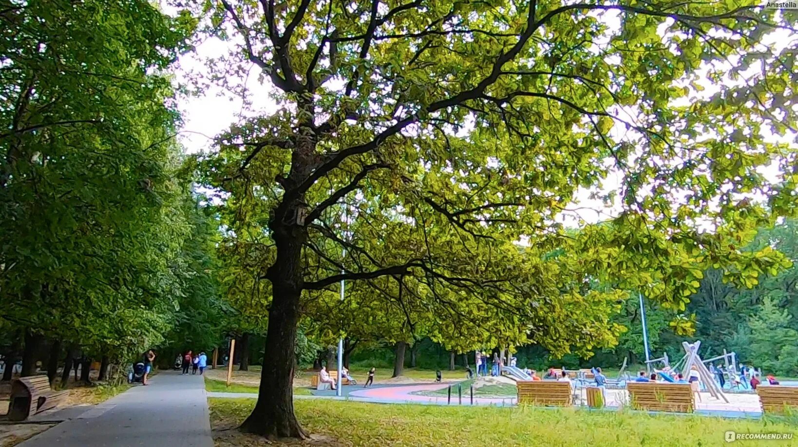 Парк дубки нижний новгород фото Парк культуры и отдыха "Дубки", Нижний Новгород - "Чудесное преображение парка -
