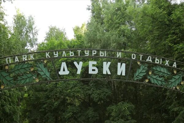 Парк дубки нижний новгород фото НТО - ДИРЕКЦИЯ ПАРКОВ И СКВЕРОВ Г. НИЖНИЙ НОВГОРОД
