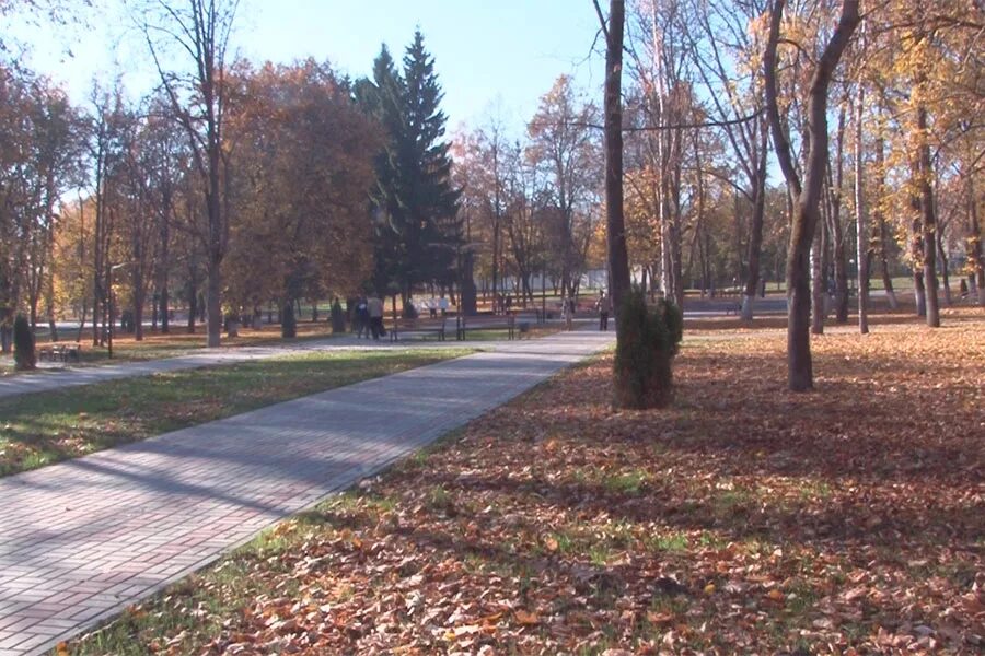 Парк дзержинского курск фото Врио губернатора Роман Старовойт удивился, не увидев рабочих в курском парке Дзе