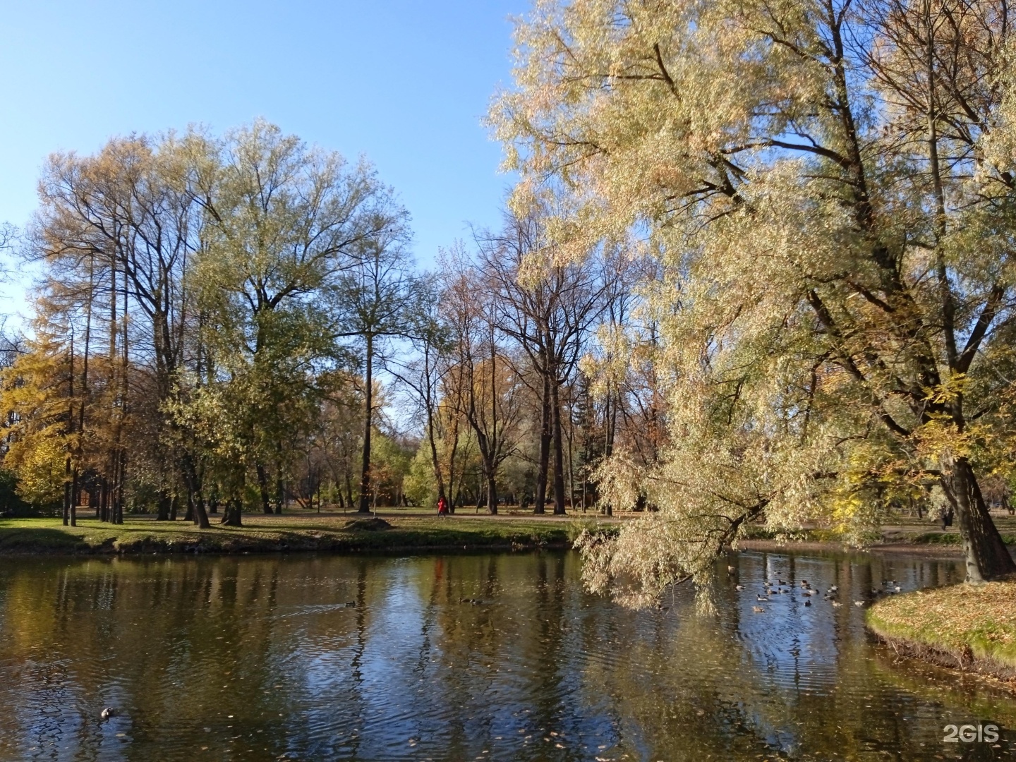 Парк екатерингоф санкт петербург фото Екатерингоф нарвская