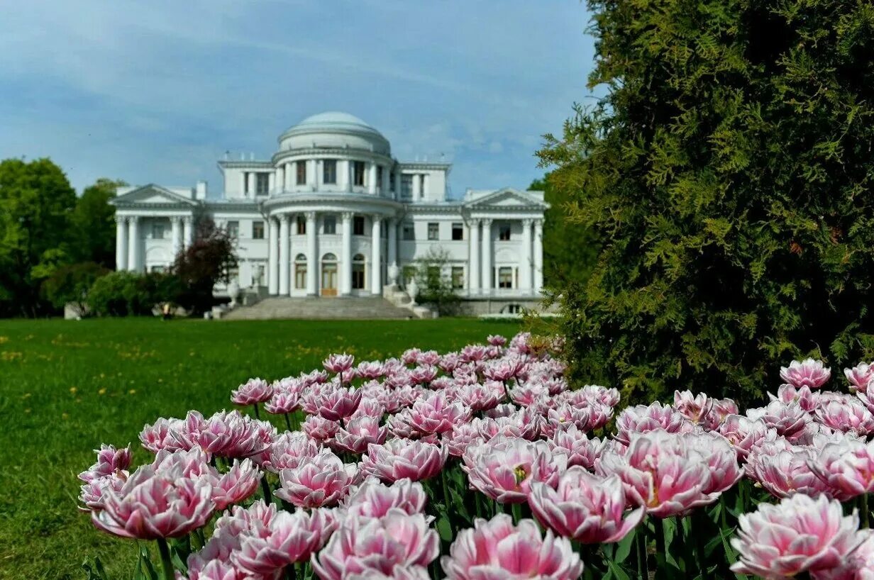 Парк елагин остров фото Где искать тюльпаны в Санкт-Петербурге: гид по лучшим местам