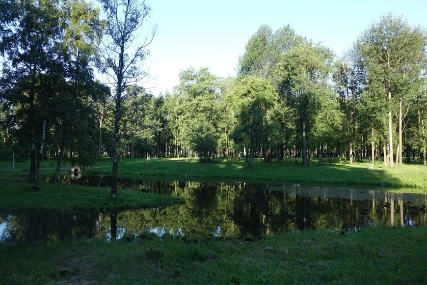 Парк есенина санкт петербург фото Парк Есенина на Дыбенко, Санкт-Петербург. Официальный сайт, цены 2024, как добра