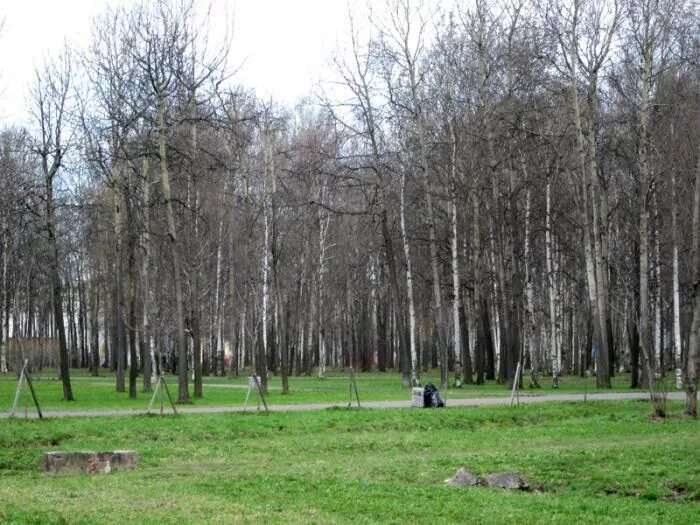 Парк есенина санкт петербург фото Парк Есенина - Санкт-Петербург