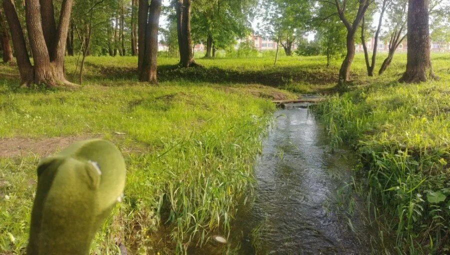 Парк евковка вологда фото где находится Парк Евковка в Вологде (Россия) с фото и отзывами
