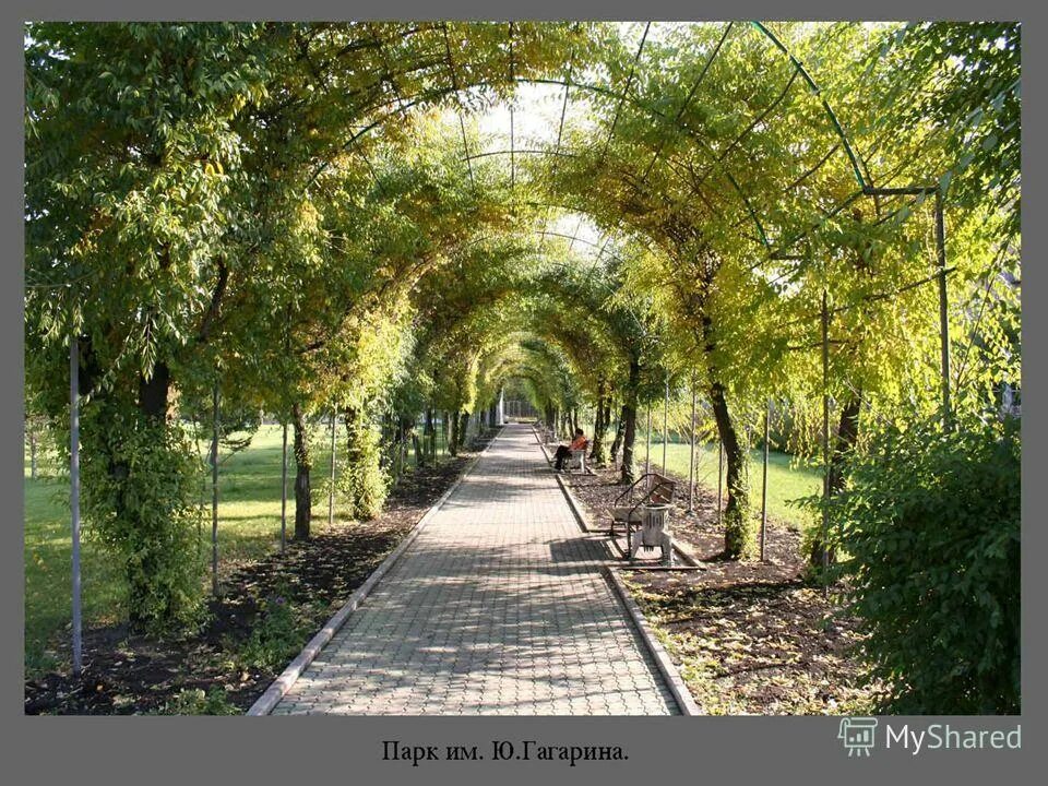 Парк гагарина красноярск фото Парк гагарина красноярск - блог Санатории Кавказа