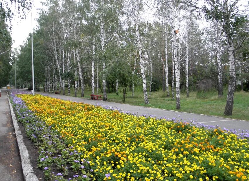 Парк гагарина октябрьский башкортостан фото парк Октябрьский (Республика Башкортостан) Фотопланета