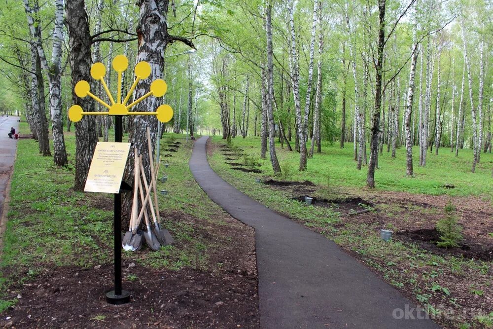 Парк гагарина октябрьский башкортостан фото Парки в октябрьском башкортостан - найдено 85 фото