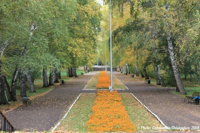 Парк гагарина октябрьский фото Аллея в парке Победы - Октябрьский