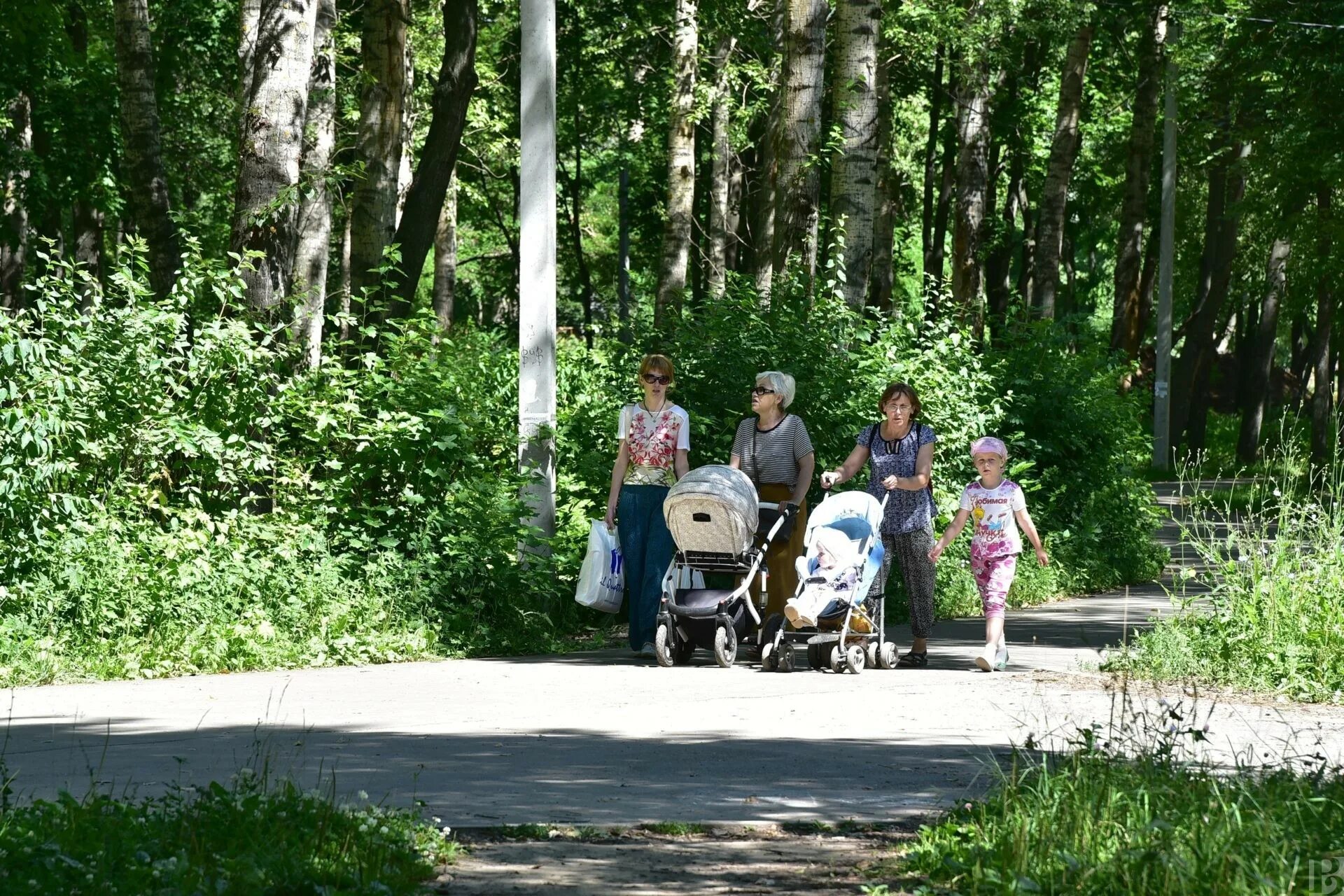 Парк гагарина рязань фото Рязанский парк имени Гагарина нуждается в уходе Рязанские ведомости