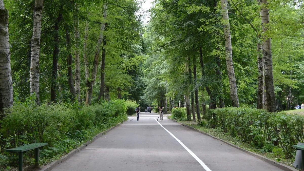 Парк гагарина рязань фото Вместо деревьев - скейт-площадка и воркаут Власти ищут подрядчика на благоустрой