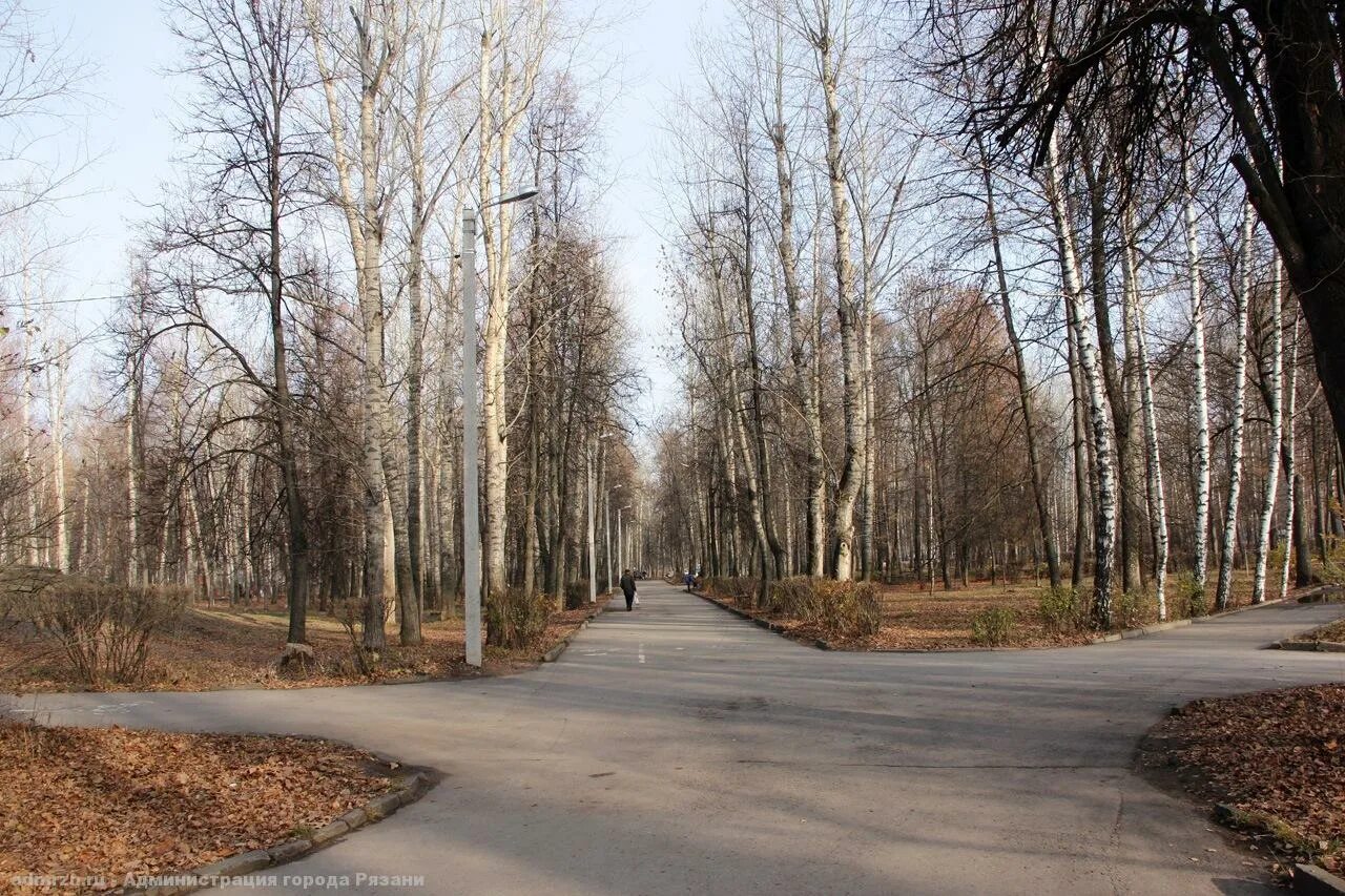 Парк гагарина рязань фото Сергей Карабасов: "Все недочеты, допущенные при проведении благоустройства парка