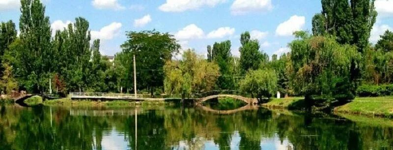 Парк гагарина симферополь фото Первая в столице Крыма кинологическая площадка появится в парке им. Гагарина в К