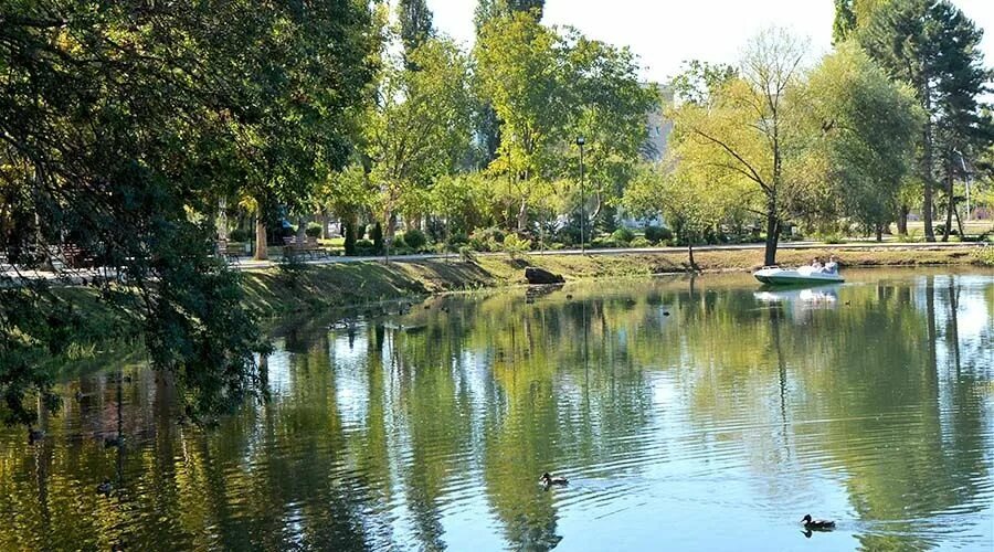 Парк гагарина симферополь фото Реконструкция парка Гагарина в Симферополе пройдет под надзором рабочей группы -