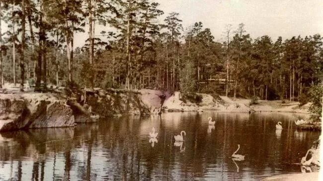 Парк гагарина старые фото Парк Гагарина Челябинск Парк