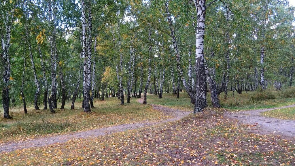 Парк гагарина тюмень фото парк имени Ю.А. Гагарина, парк культуры и отдыха, Россия, Тюмень, парк имени Ю.А