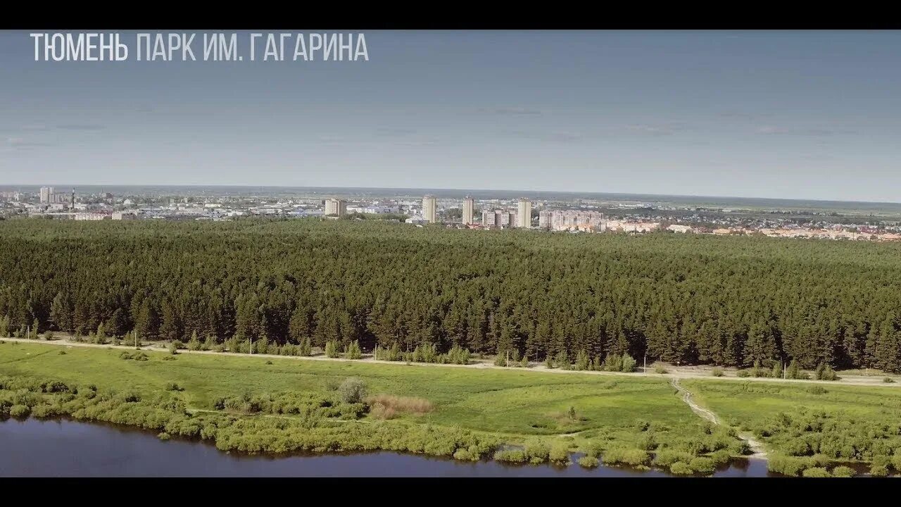 Парк гагарина тюмень фото ТЮМЕНЬ 2020. Лесопарк им. Ю. Гагарина, ОБЗОР. ПРОГУЛКА по МЫСу, наткнулись на кл