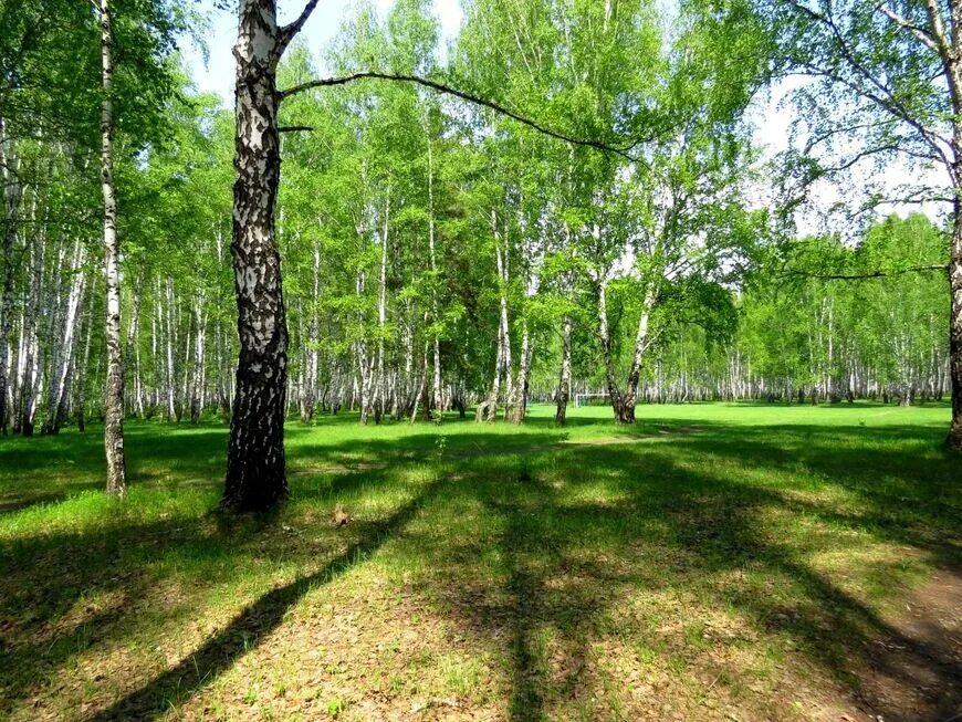 Парк гагарина тюмень фото Парк Гагарина, Тюмень. Где находится, на карте, растения, фото, адрес, как добра