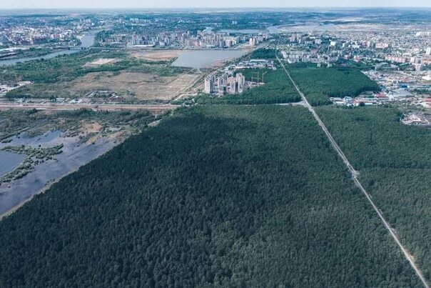 Парк гагарина тюмень фото In Tyumen, a Moscow urbanist proposed to reconstruct the Gagarin Park - to turn 