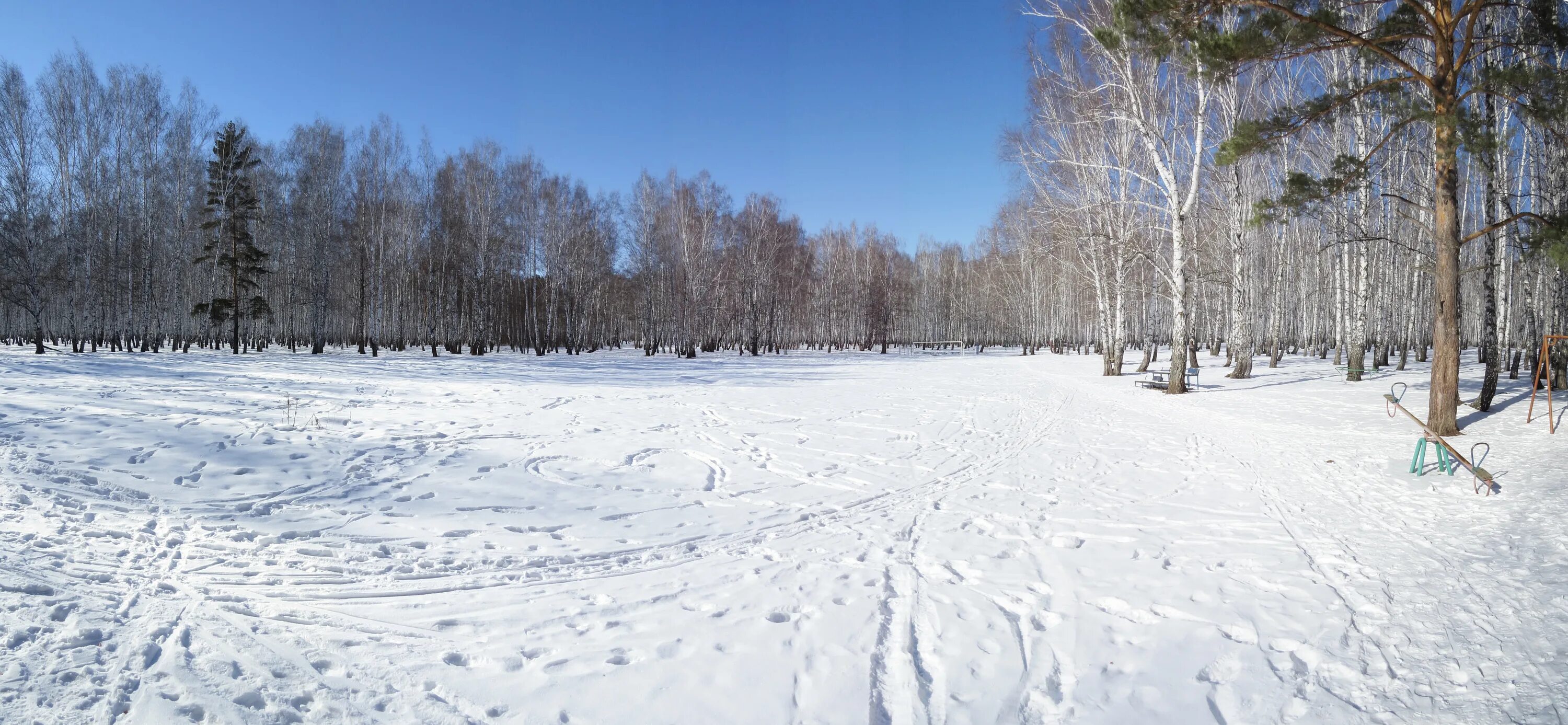 Парк гагарина тюмень фото Футбольное поле в Гагаринском парке - Тюмень