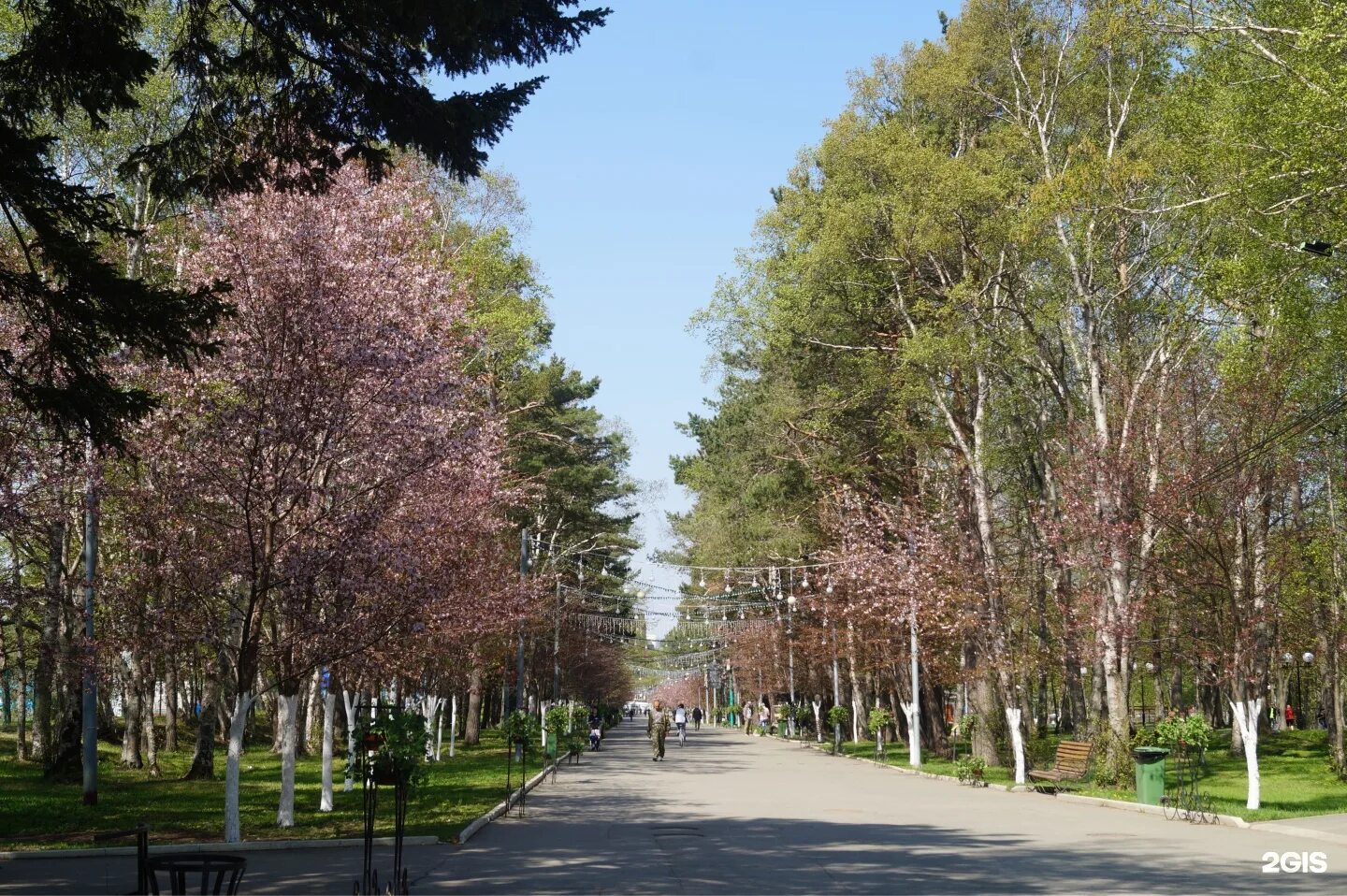 Парк гагарина южно сахалинск фото Фотографии ПАРК КУЛЬТУРЫ И ОТДЫХА ЮЖНО САХАЛИНСК