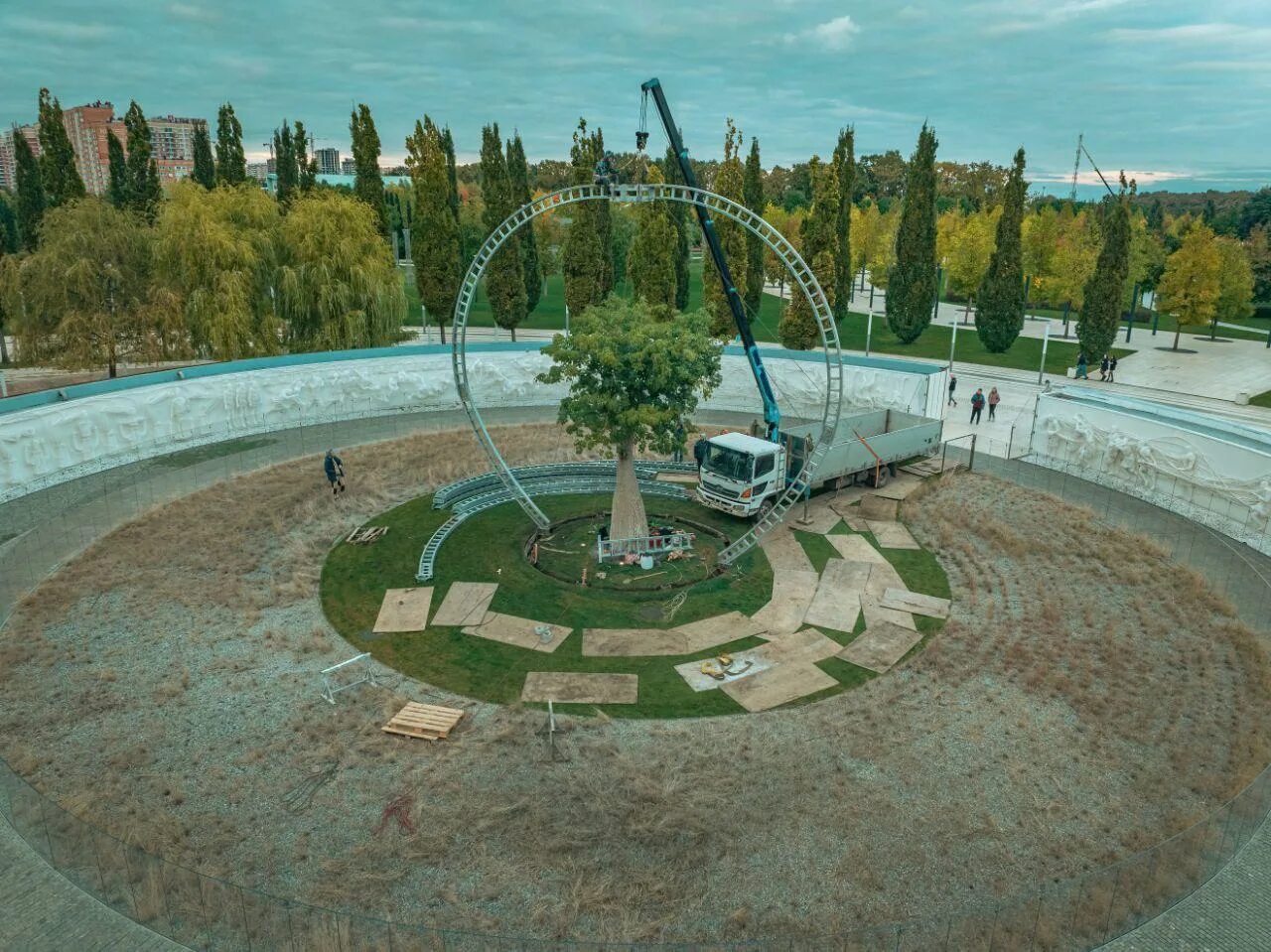 Парк галицкого фото деревья В парке "Краснодар" деревья начали укрывать в скафандры на зиму - 24 октября 202