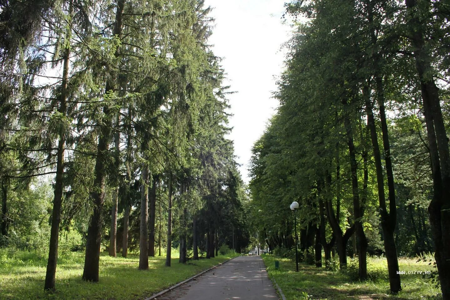 Парк горки ленинские фото Горки Ленинские / Москва, Россия / Фотоальбом: семга / Стр.40
