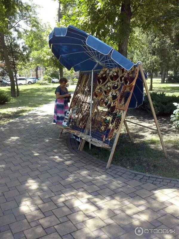 Парк горького ейск фото Отзыв о Парк Горького (Россия, Ейск) Небольшой интересный парк в центре города.