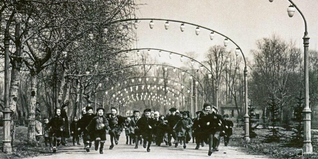 Парк горького фото 60х САМЫЙ БОЛЬШОЙ ЗЕЛЁНЫЙ УНИВЕРСИТЕТ. ЦПКиО им.ГОРЬКОГО Письма к человеку Дзен