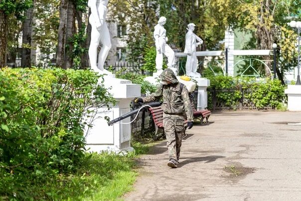 Парк горького фото глазов Парк Горького и территорию КЦ "Россия" снова обработали от клещей Парк Горького 