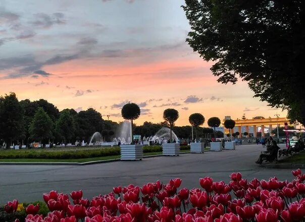 Парк горького красивые фото Park Gorky is looking for a PR Manager. Responsibilities: - management of office