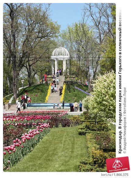 Парк горького краснодар фото Краснодар. В городском парке имени Горького в солнечный весенний день (2009 год)