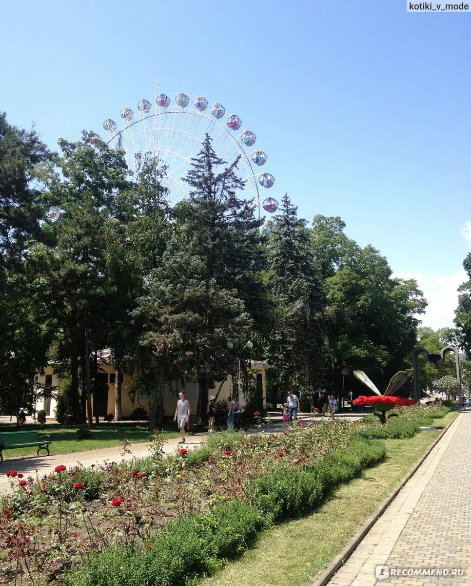 Парк горького краснодар фото Парк "Городской сад" (Парк Горького), Краснодар - "Самый первый парк, который ис