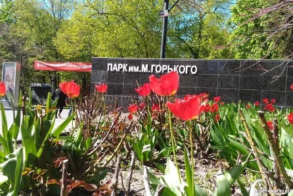 Парк горького ростов фото Достопримечательности ♥ Ростова-на-Дону Парк культуры и отдыха имени Максима Гор