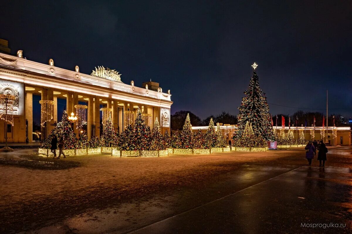 Парк горького сегодня фото Ночная прогулка по предновогоднему Парку Горького Моспрогулка Дзен