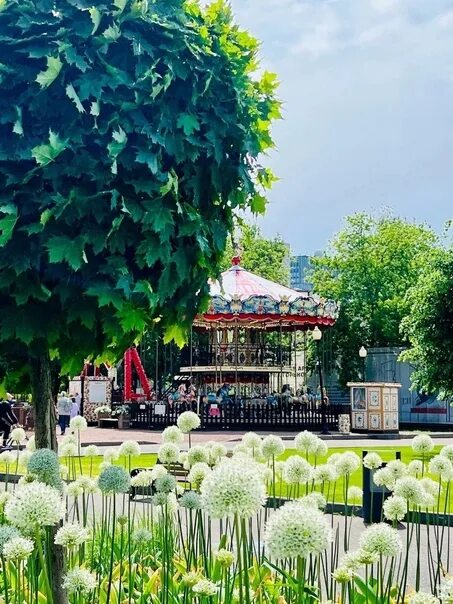 Парк горького сейчас фото Day of the city in the docks of Moscow: ☑'s music festivities will take place in