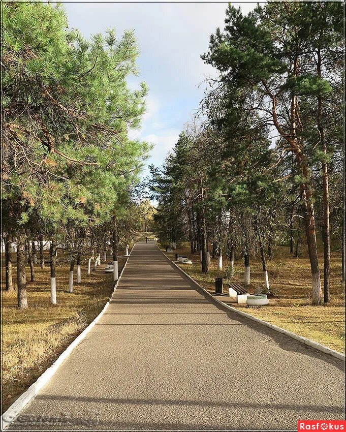 Парк городской дзержинск фото Фото: Городской Парк в городе Дзержинск.... Фотолюбитель ElenaKL. Путешествия. Ф