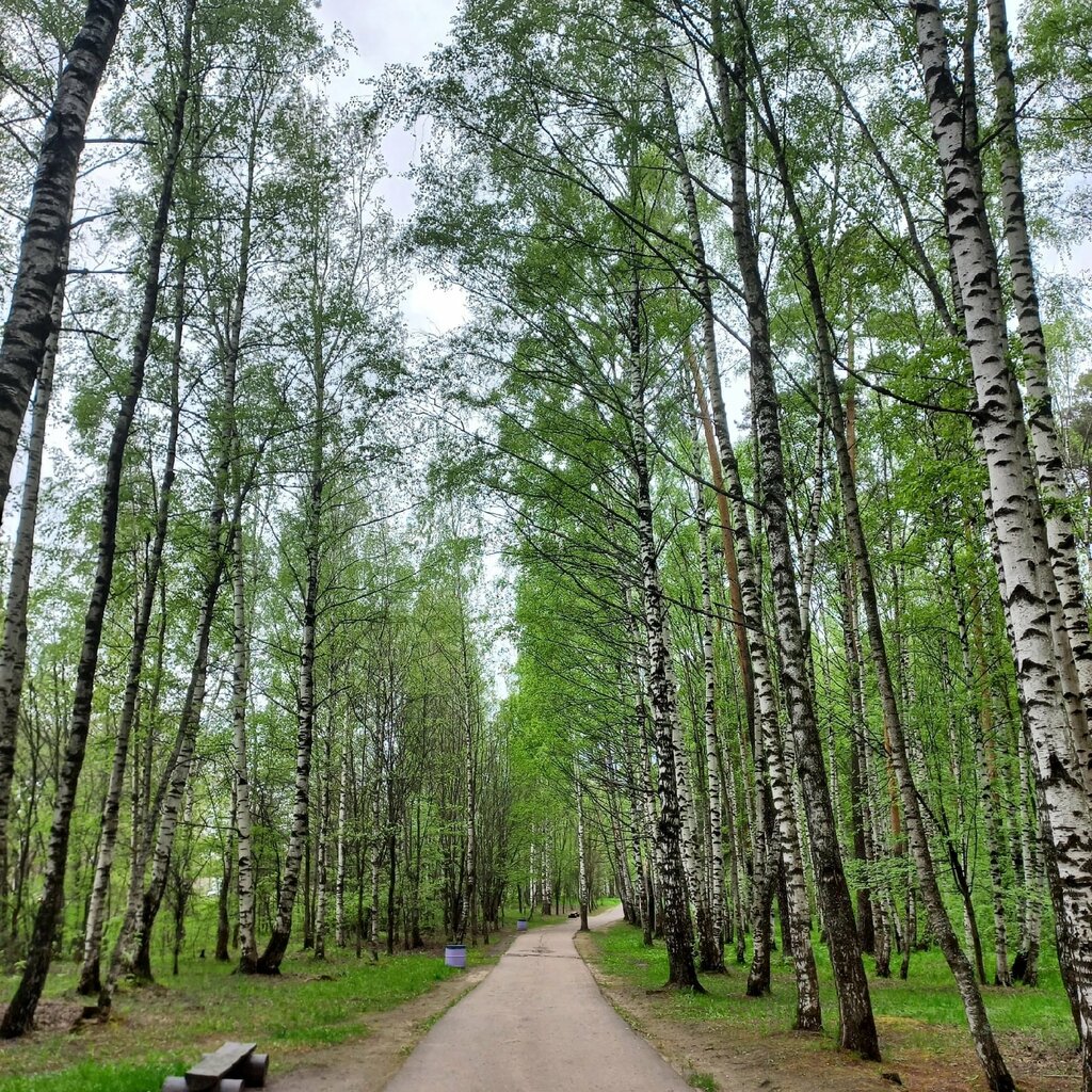 Парк харинка ул павла большевикова 29 фото Panorama: Kharinka, park, Ivanovo, Pavla Bolshevikova Street, 29 - Yandex Maps