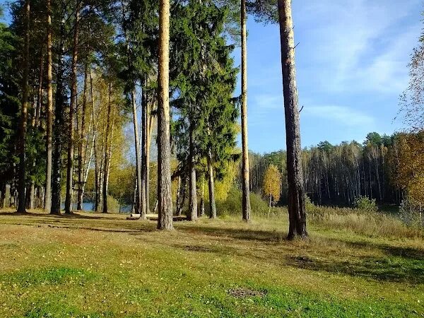 Парк харинка ул павла большевикова 29 фото ХАРИНКА, парк культуры и отдыха, +7 493 235-21-70, ул. Павла Большевикова, 29, ఇ