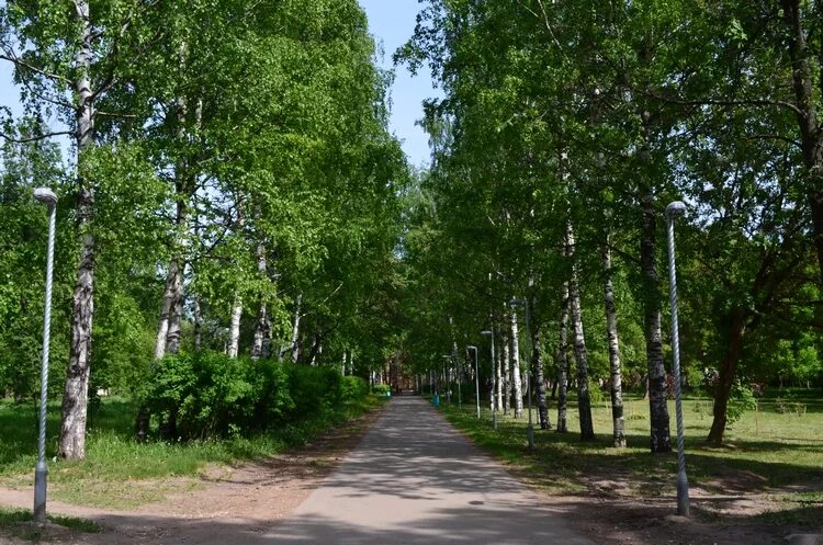 Парк имени гагарина киров фото Планы на зеленые зоны