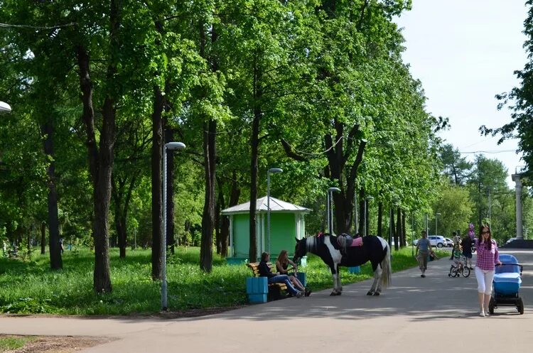 Парк имени гагарина киров фото Парк имени Ю.А. Гагарина - Парки, скверы