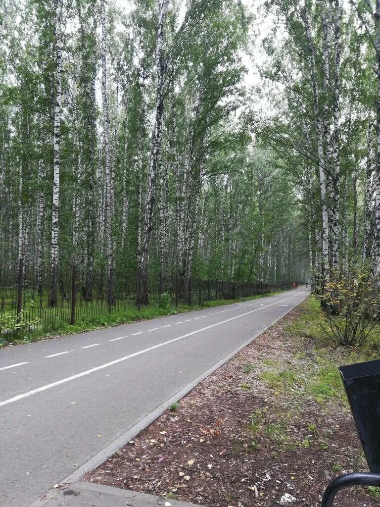 Парк имени гагарина тюмень фото парк имени Юрия Алексеевича Гагарина, парк культуры и отдыха, Тюмень, парк имени
