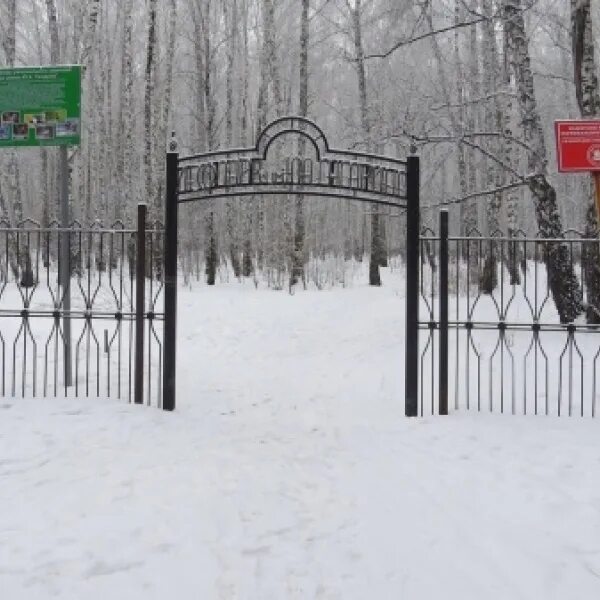 Парк имени гагарина тюмень фото Тюмень, Лесопарк им. Ю.А. Гагарина - 2ГИС
