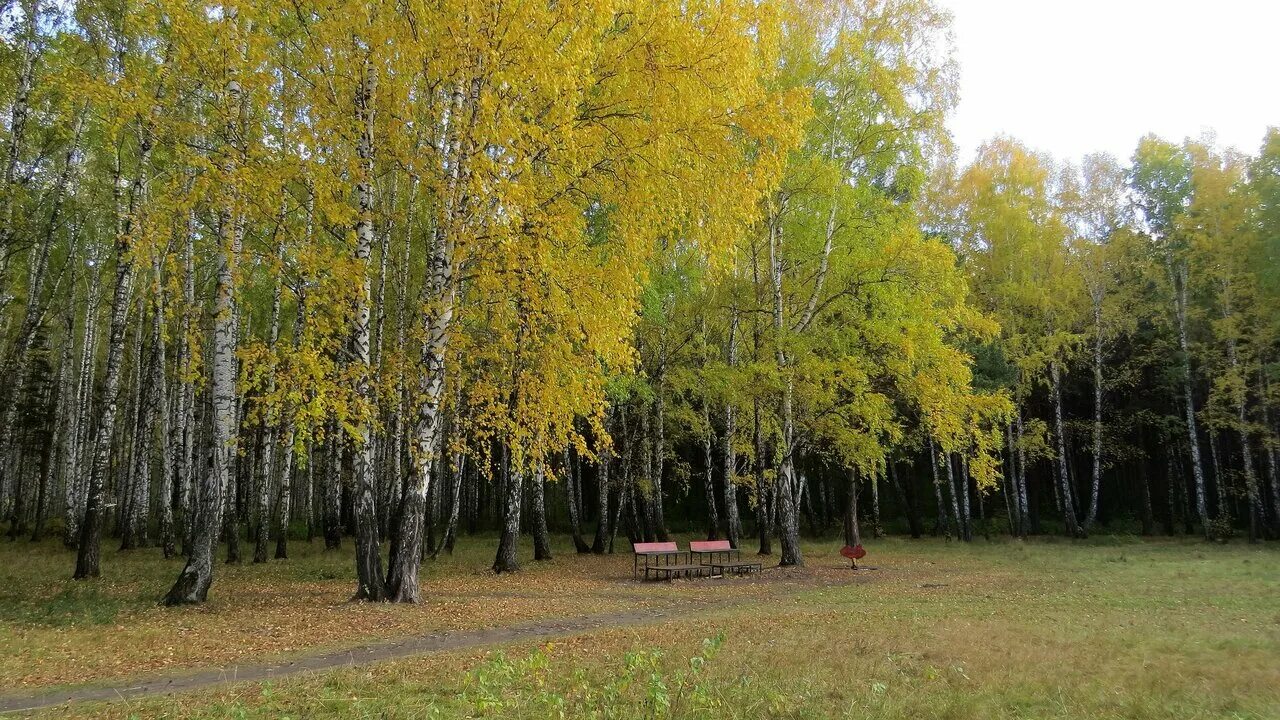 Парк имени гагарина тюмень фото Фото: парк имени Ю.А. Гагарина, парк культуры и отдыха, Россия, Тюмень, парк име